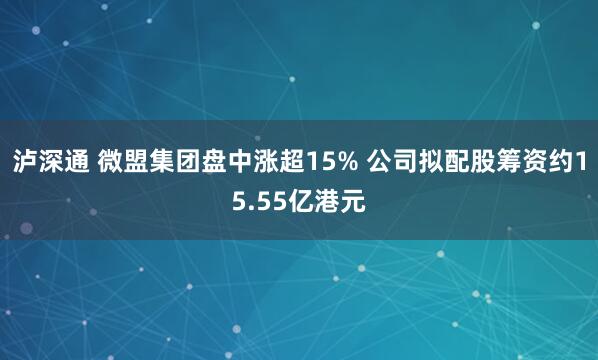 泸深通 微盟集团盘中涨超15% 公司拟配股筹资约15.55亿港元